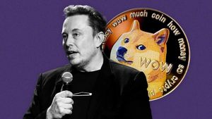 Elon Musk Reshapes Work Culture With DOGE Quirks