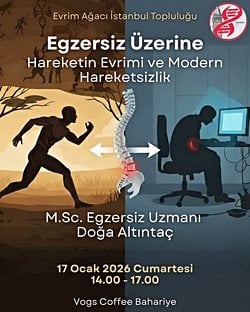 Egzersiz Üzerine: Hareketin Evrimi ve Modern Hareketsizlik - EA İstanbul Topluluğu