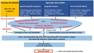 New Bioinformatics Study Identifies Key Therapeutic Targets For Alzheimer’s Disease