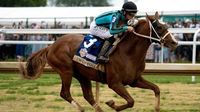 Kentucky Derby 2025 predictions, betting odds: Top win, place, show, trifecta, superfecta expert picks