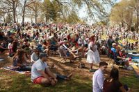 Brookhaven Cherry Blossom Festival will feature musical acts, family entertainment
