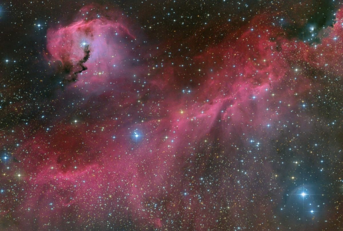  The Seagull Nebula 