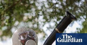 China Battles Record Mosquito Virus Outbreak In 2025