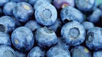 Listeria risk outbreak: FDA sounds alarm, recalls tainted blueberries - check details | Today News