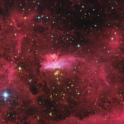 Massive Stars in NGC 6357