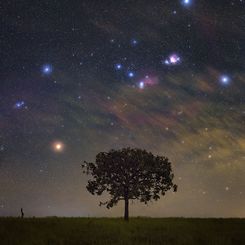  Orion Rising over Brazil 