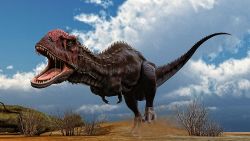 KRETASE MADAGASKAR’IN APEX PREDATÖRÜ : MAJUNGASAURUS