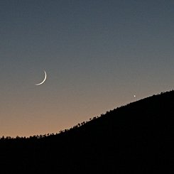 Venus and the 37 Hour Moon