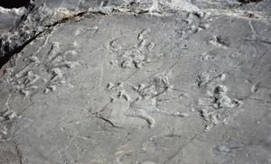 Hiker Uncovers Ancient Footprints In Italian Alps