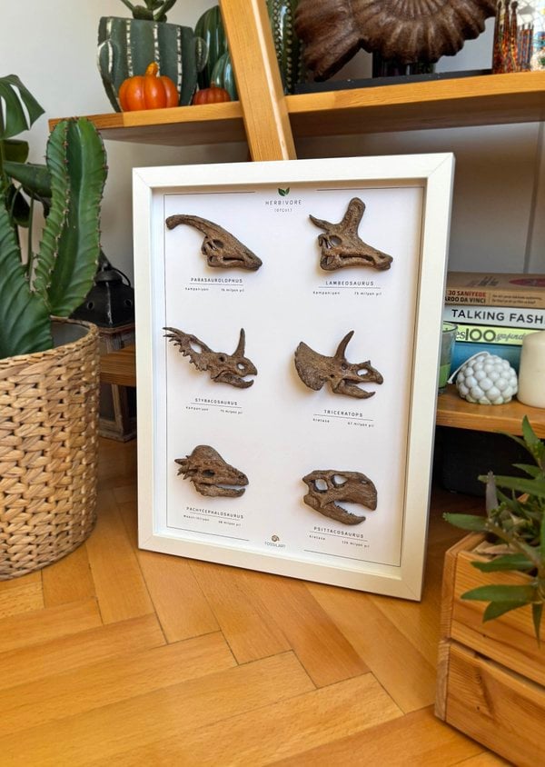 Otobur Dinozorlar 3 Boyutlu Çerçeve Tasarım