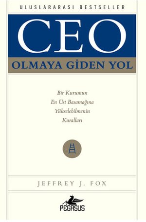 CEO Olmaya Giden Yol