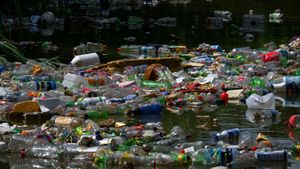 Global Plastic Treaty Negotiations Fail To Deliver