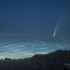 Gece Parlayan Bulutlar ve NEOWISE Kuyruklu Yıldızı