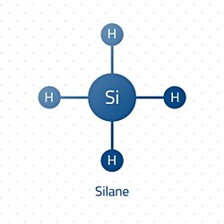 Silan, kötü kokulu ve havayla temasında dahi anında patlayabilecek kadar kararsız bir gazdır. Doğada serbest halde neredeyse hiç bulunmayan bu moleküle karşı koku reseptörlerimiz nasıl oldu da bu kadar hassasiyet geliştirdi?