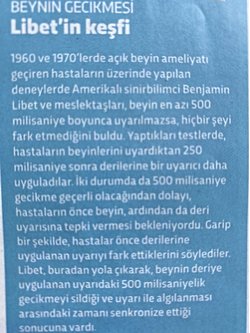 Beynin gecikmesi nedir?