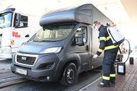 Österreich schließt Grenzen wegen Maul- und Klauenseuche ist zurück – wie groß ist die Gefahr?