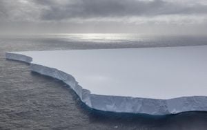 Iceberg A23a Approaches South Georgia, Poses Risk To Wildlife