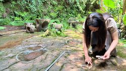Çin'de bir restoranda 100 milyon yıllık dinozor ayak izleri bulundu.