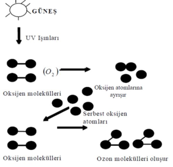 Ozon Tabakası Oluşum Şeması