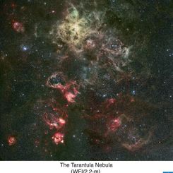 Tentacles of the Tarantula Nebula