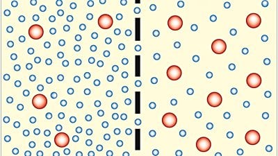 Pasif Taşıma Nedir? Hücre Zarından Enerji Harcamadan Madde Geçişi Mümkün mü?