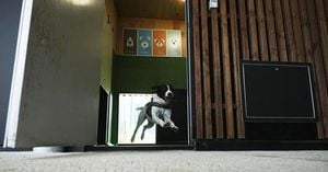 Rome Airport Unveils Luxury Dog Hotel Amid Travel Boom
