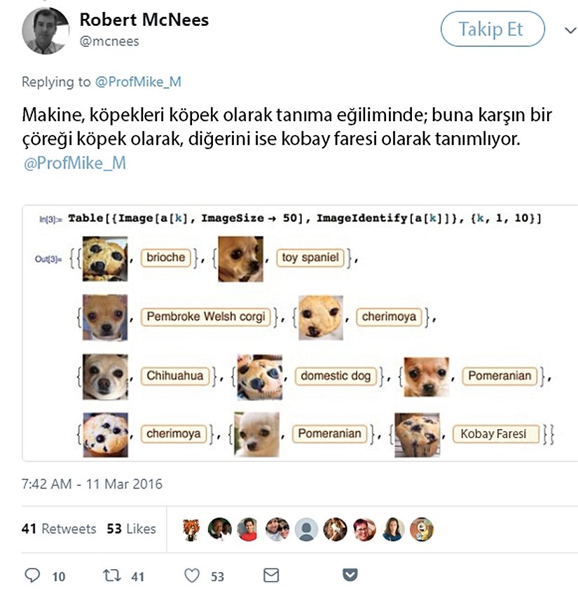 Chicago’daki Loyola Üniversitesi profesörlerinden fizikçi ve bilim iletişimcisi Robert McNees’ten bir tweet.