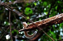 Neden-Sonuç İlişkisi Yanılgısı - 2: Algısal Yanılgı