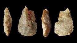 Çin'de 2,1 Milyon Yıllık Taş Aletler Bulundu!