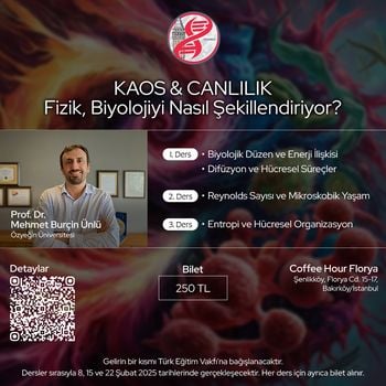 KAOS & CANLILIK: Fizik, Biyolojiyi Nasıl Şekillendiriyor?