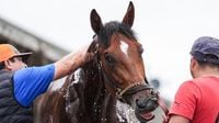 Betting guide to Kentucky Derby with odds, jockeys, trainers, expert picks, analysis