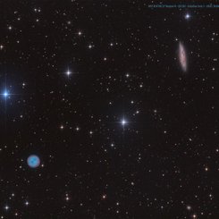  The Owl and the Galaxy 