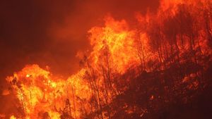 Wildfires Devastate Communities Across Western Turkey