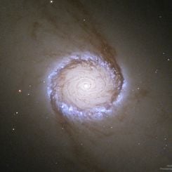  Spiral Galaxy NGC 1512: The Nuclear Ring 