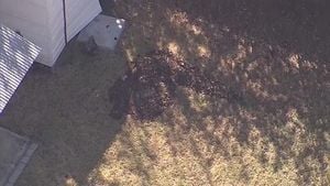 Burleson Couple Arrested After Special Needs Son Found Buried