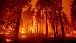 California Wildfires Prompt Urgent Evacuations