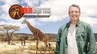 Pékin Express 2025 : tout ce qu’il faut savoir sur la grande finale diffusée ce samedi 5 avril