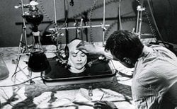 Hayali bir deneyde, sadece beyni bırakılmış(hiçbir uzvu olmayan) bir canlı ne hisseder?