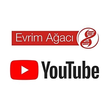 Bilim Ağacı
