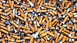 Yanlış Olduğunu Bildiğimiz Davranışları Neden Yapıyoruz? Mesela Neden Yere Çöp Atıyoruz?