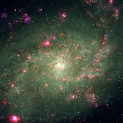 Elements of Nearby Spiral M33