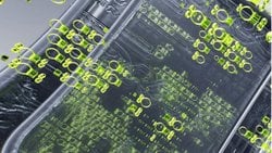 Sentetik Biyoloji ve Biyomühendislik