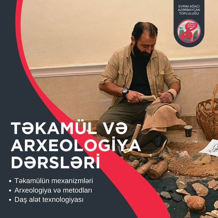 Evrim Ağacı Azerbaycan: Təkamül və Arxeologiya Dərsləri