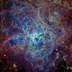 The Cosmic Web of the Tarantula Nebula