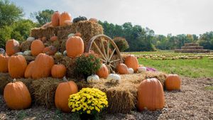 Fall Festivities Embrace Communities Across The U.S.