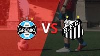 ◉ Grêmio vs. Santos en vivo: seguí el partido minuto a minuto - TyC Sports