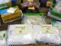 Cuba captures Chinese drug ring suspect wanted by US, Mexico says