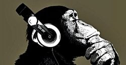 hayvanlarda müzik kulağı var mıdır?