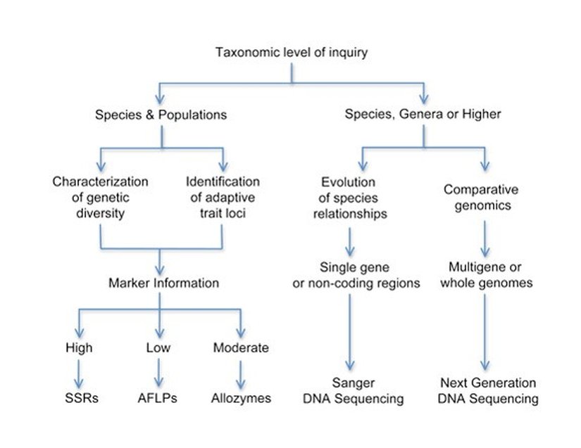 Şekil 6: Karar ağacı.