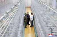 North Korea has four uranium enrichment facilities, Seoul says - Taipei Times